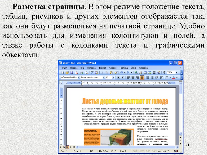 41 41 Разметка страницы. В этом режиме положение текста, таблиц, рисунков и других элементов